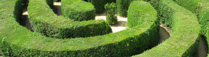 Labyrinth aus Hecken