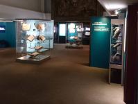 Ausstellung Elfenbein und Ewigkeit Ausstellungsraum Elfenbein und Ewigkeit