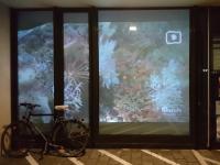 Videoinstallation, die aus einem Fenster ein Aquarium werden lässt Ein Fenster der Hauptbibliothek als Schaufenster Ozean