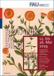 Plakat zur Ausstellung: Botanik im Bild Ringelblume, Erdbeere, Beinwell