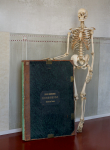 Bild zur Ausstellung Anatomische Sammlung der LMU München