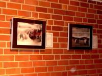 Ausstellung GedankenGänge Ausstellung GedankenGänge