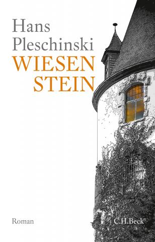 Buchcover "Wiesenstein"