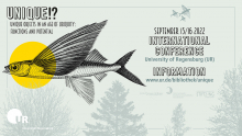 Fliegender Fisch Illustration