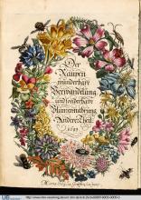 Titelblatt von Maria Sibylla Merian: Der Raupen wunderbare Verwandelung und sonderbare Blumennahrung, Band 2, Nürnberg 1683