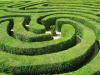 Labyrinth aus Hecken